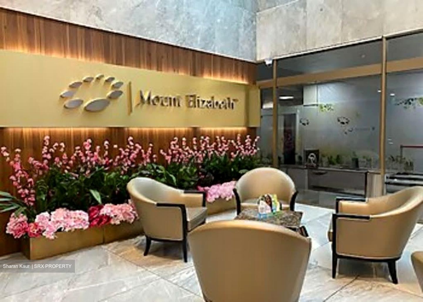 Mount Elizabeth Hospital (D9), Retail #543725051